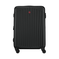 Medium Hardside Case, black