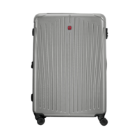 Syron Hardside Case Large, Silvewr