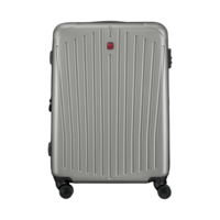 Medium Hardside Case, silver